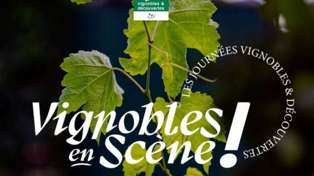 Vignobles en scène - Domaine de le Courtade au Musée du Niel