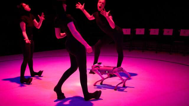 Danse - Christine Armanger - de dIAboli / Liz Santoro & Pierre Godard - This Is Unreal