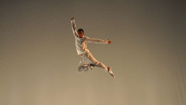 Danse : Cinq Versions de Don Juan