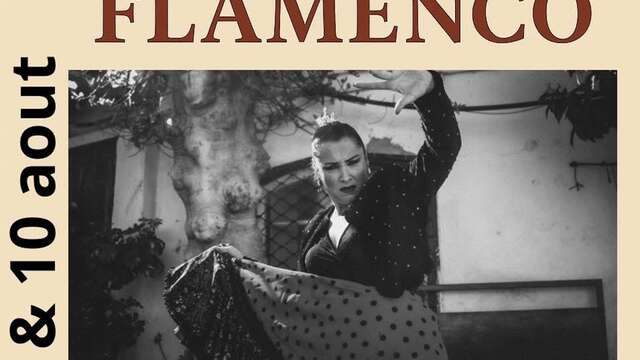 Stage de Flamenco