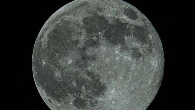 La tête dans les étoiles à la rencontre des animaux célestes