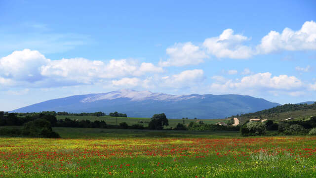 Le Plateau d'Albion