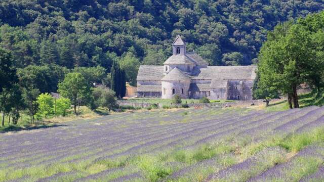 Abbaye Notre-Dame de Sénanque