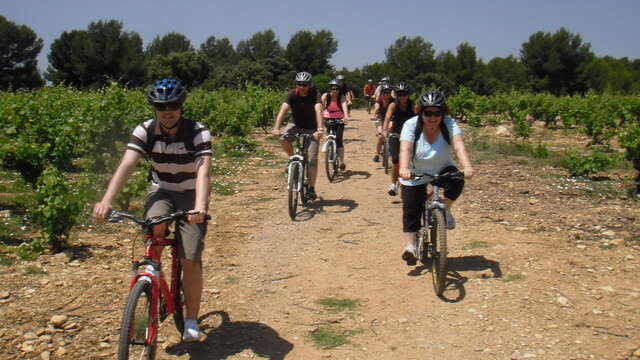 Escapade encadrée VTT avec ExpéNature