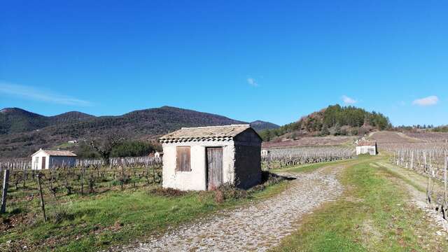Journées Européennes du patrimoine - Circuit pédestre de découverte des cabanons de Saillans
