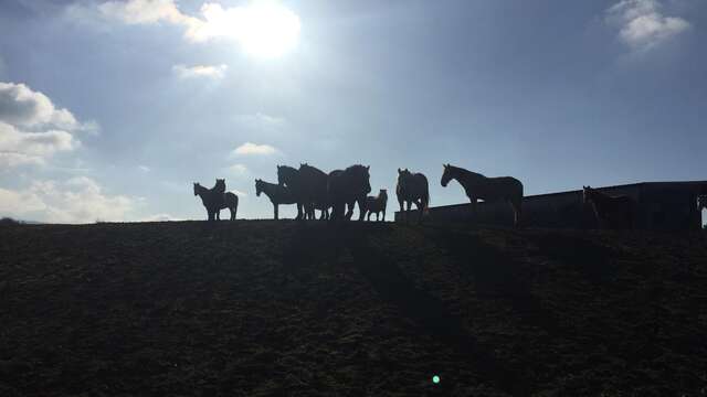 Roulotte de Cheval Bugey