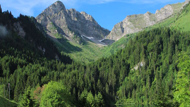 Sentier pédestre d'interprétation du lac des Plagnes