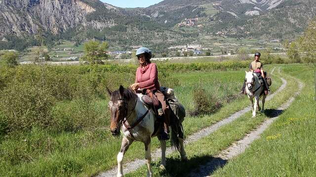 L'Instant Animal & Rando à cheval