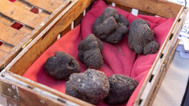Séjour truffes et détente