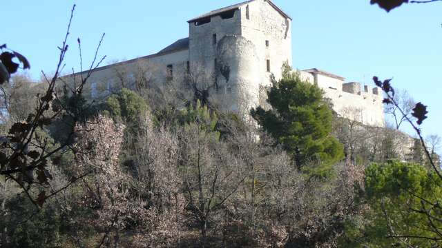 Schloss, das "der Templer" genannt wird