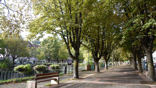 les quais de la Sallanche