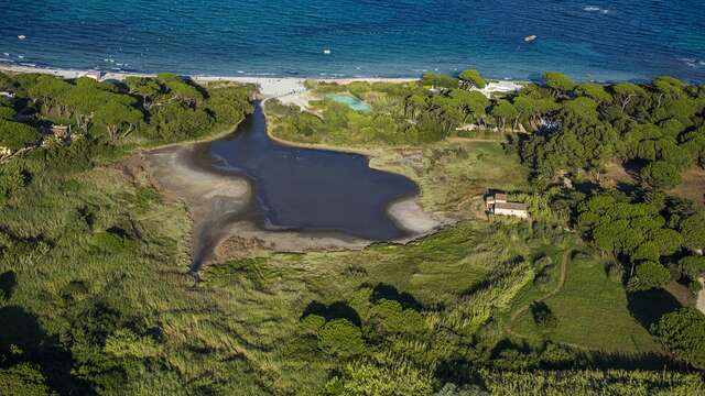 Plage des salins