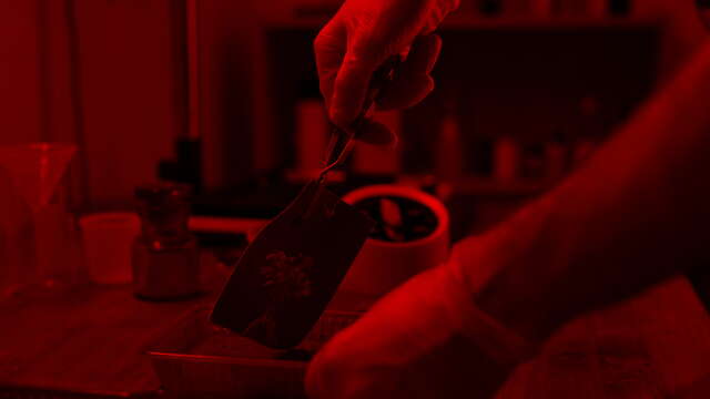 Atelier famille - Initiation à la chambre photographique