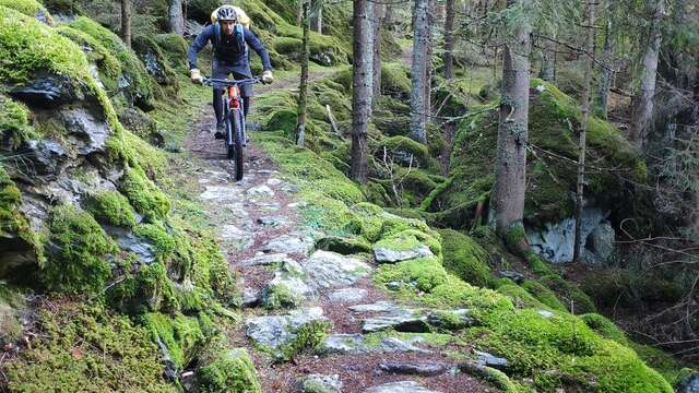 Ambition Outdoor : Randonnées, trekking et VTT(AE) au Pays du Mont-Blanc