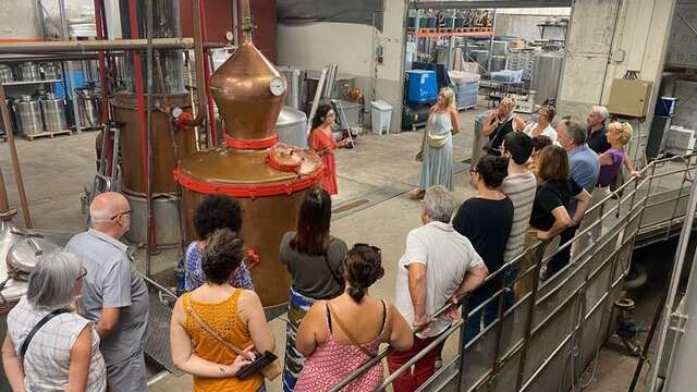 Visite guidée de la distillerie Maison Manguin