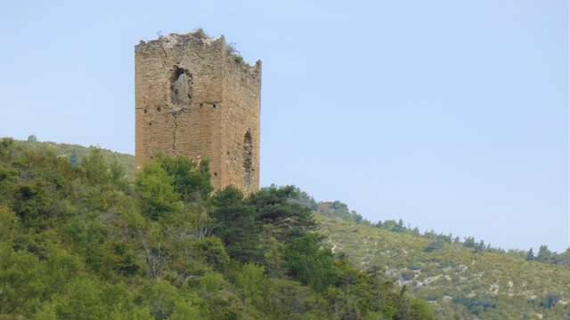 La tour médiévale, dite "tour sarrasine"