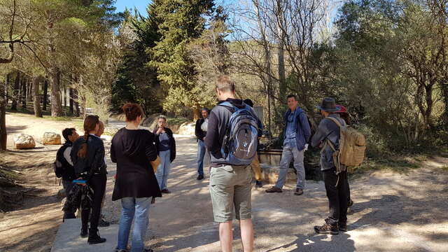 Sur les traces des dinosaures de Sainte-Victoire