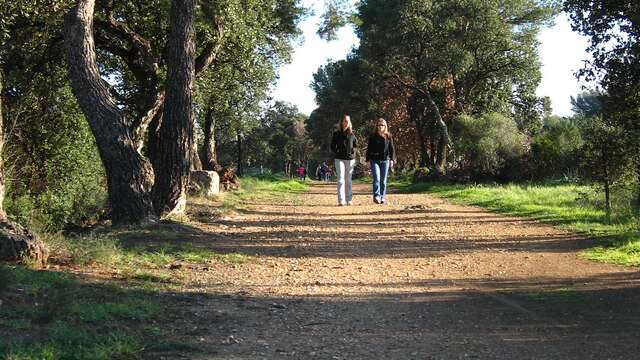 Die Promenade de la Garenne