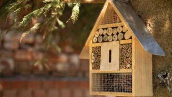 Les ateliers du jardin : Fabrication d'un hôtel à insectes