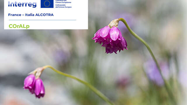 Atelier scientifique : conservation et valorisation de la flore des Alpes latines