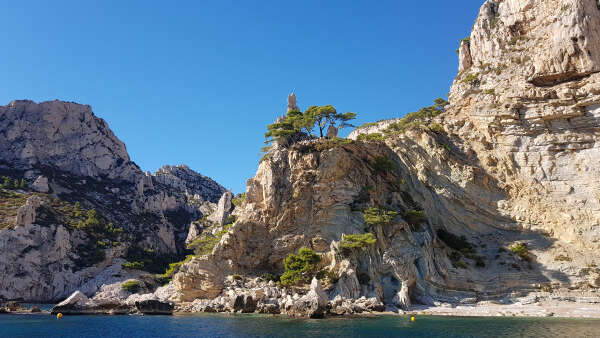 Croisière dans le Parc National des Calanques en journée - Vieux-Port Mairie