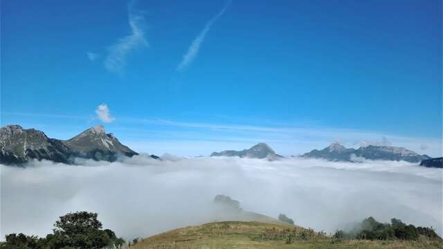 Randonnée montagne avec des ânes : 2 jours