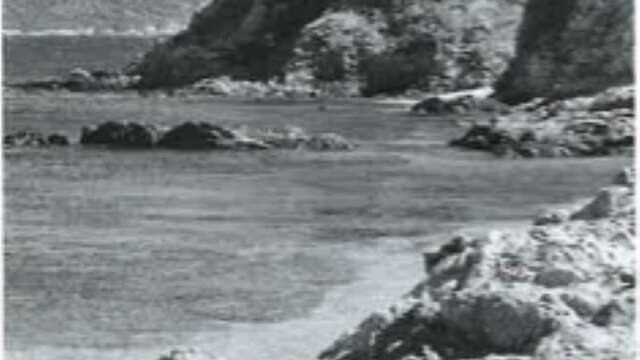 The island and the bow - FORTissimo 2026