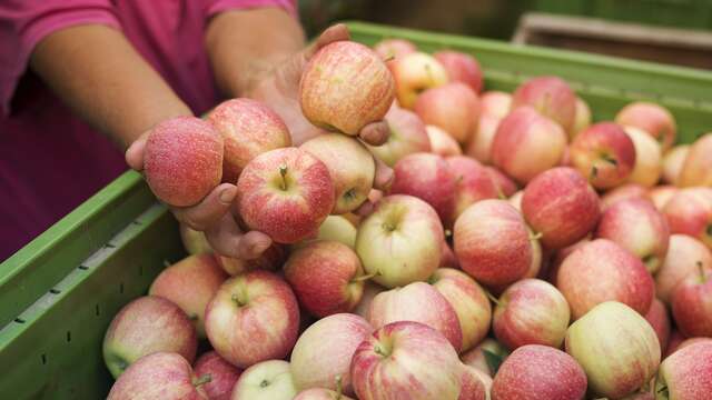 Ferme de la Mencenque