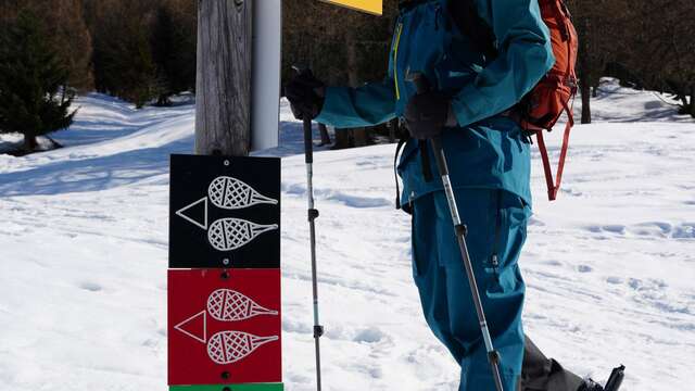 Sneeuwschoenwandeling : le Planay