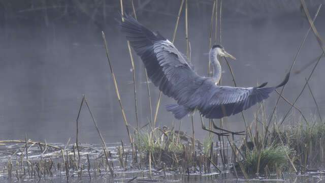 Mots, dessins et poésie au fil de l’eau l Renc'Arts du Parc