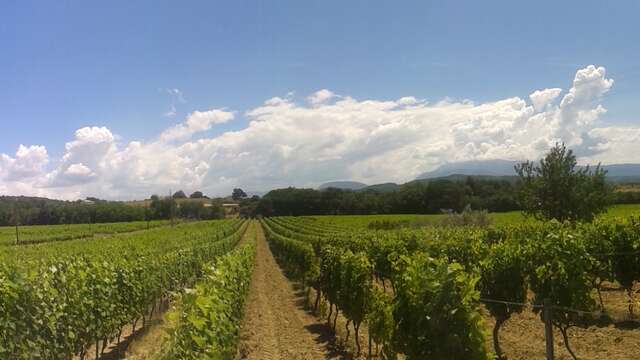 Domaine Terre de Gaulhem