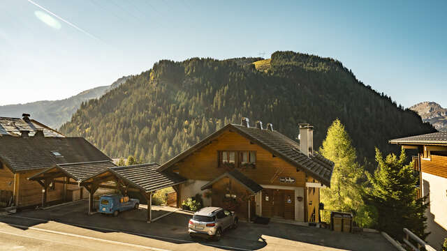 7 pièces - Chalet l'Etringa JacRose