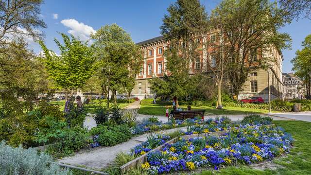 Visite thématique - Regard sur le Jardin du Verney