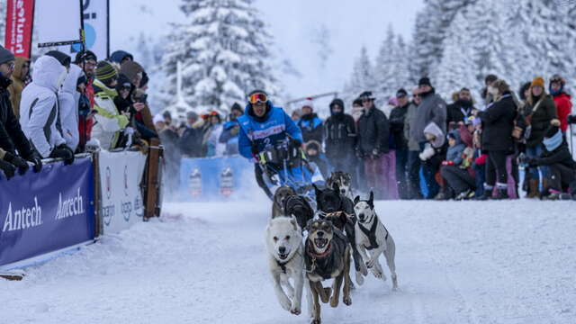 La Grande Odyssée Royal Canin : 3ème étape à Savoie Grand Revard