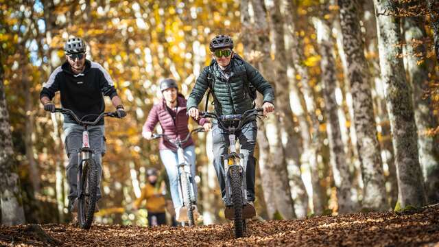 Activités nature avec TrottNature