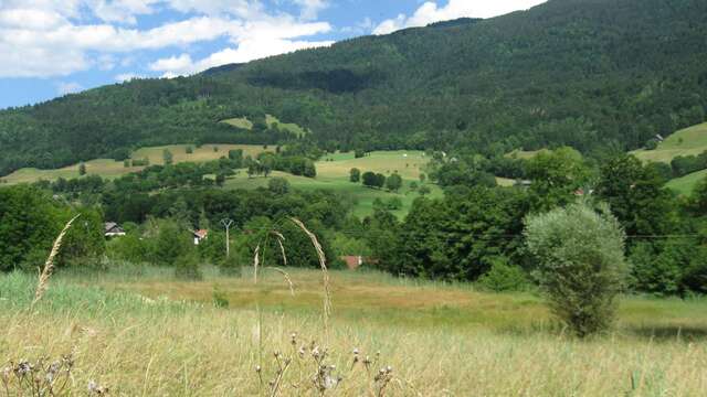 Bel'Vélec Theys - Marais des Bruns