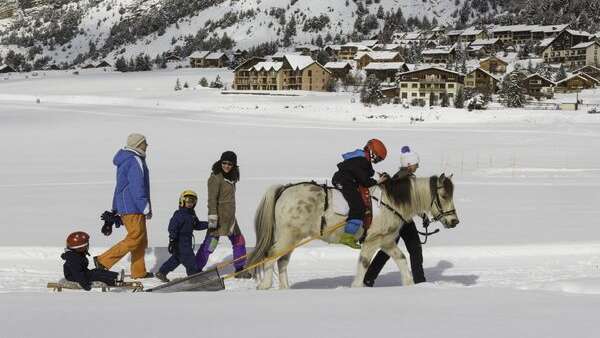 Balade en poney luge