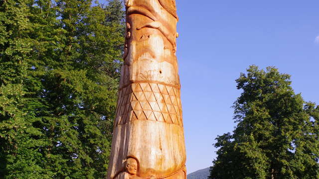 Veillée au totem : Le grand séquoia