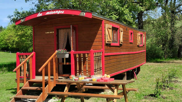 Trailer "Les Mésanges"