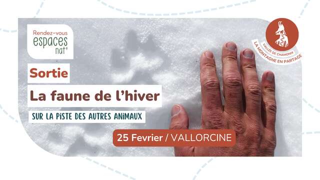 Sortie nature : La faune de l'hiver