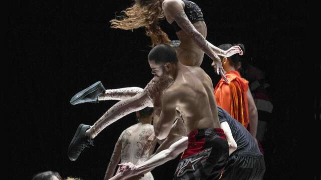 Spectacle : Static Shot + A Folia