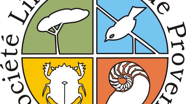 Linnéenne de Provence