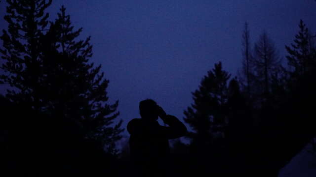 Balade nocturne : chouette soirée en forêt