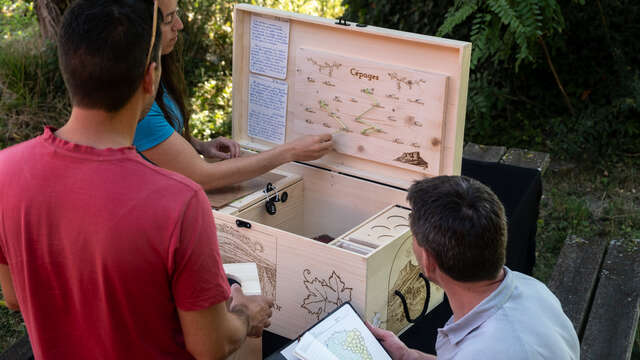 Esc'apéro aux Fruits de la Treille