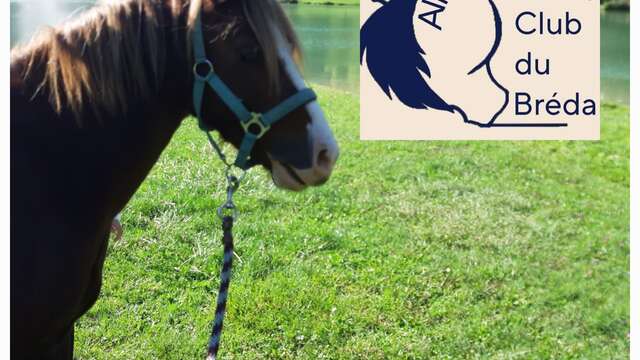 Le Poney CLub du Bréda