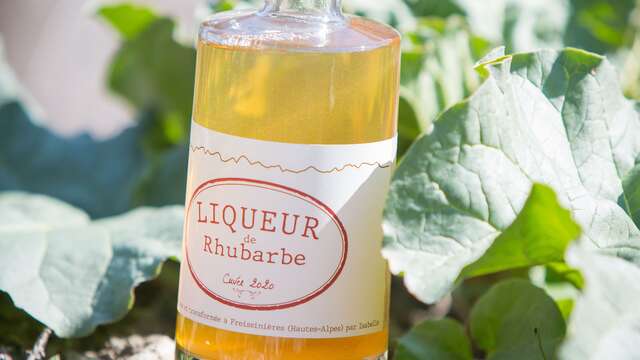 Atelier : Le cercle des alchimistes cueilleurs