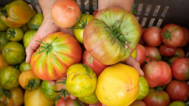 À la rencontre des Savoir-Faire des Alpilles : Les Jardins de Cidamos