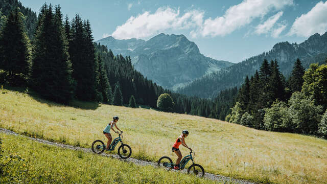 Trottinette Electrique "Découverte des Alpages et du Lac de Vallon"
