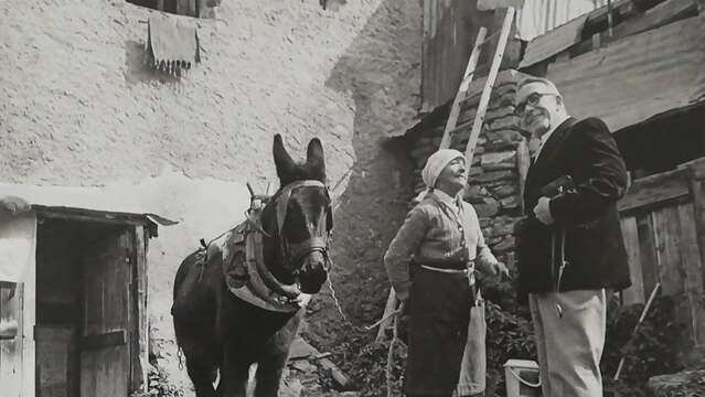 Échos du monde paysan