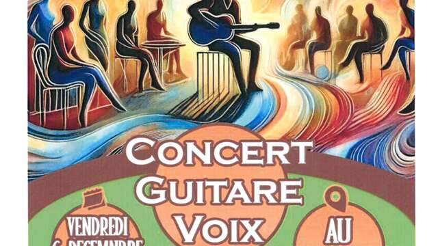 Concert guitare voix